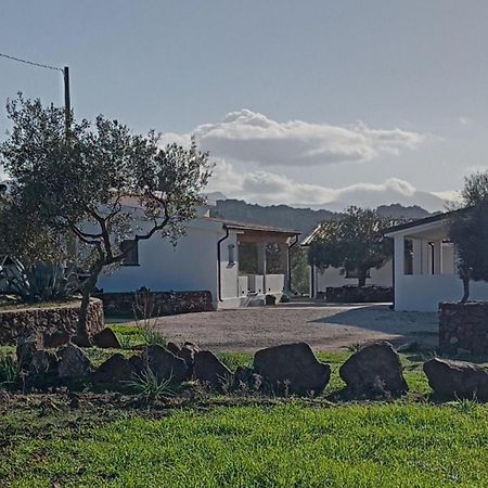 Agriturismo Sa Murta Dorgali Exteriér fotografie