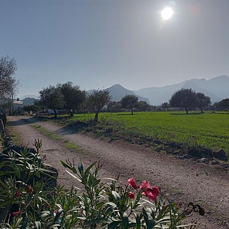 Agriturismo Sa Murta Dorgali Exteriér fotografie