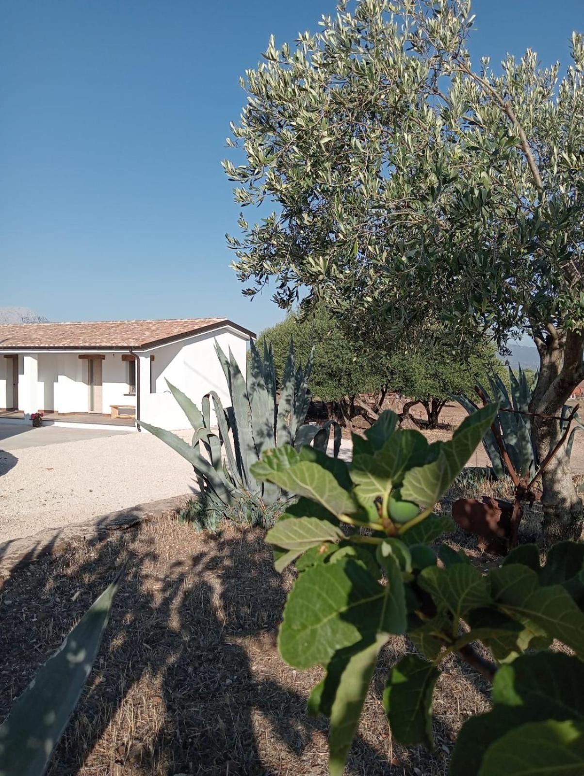Agriturismo Sa Murta Dorgali Exteriér fotografie