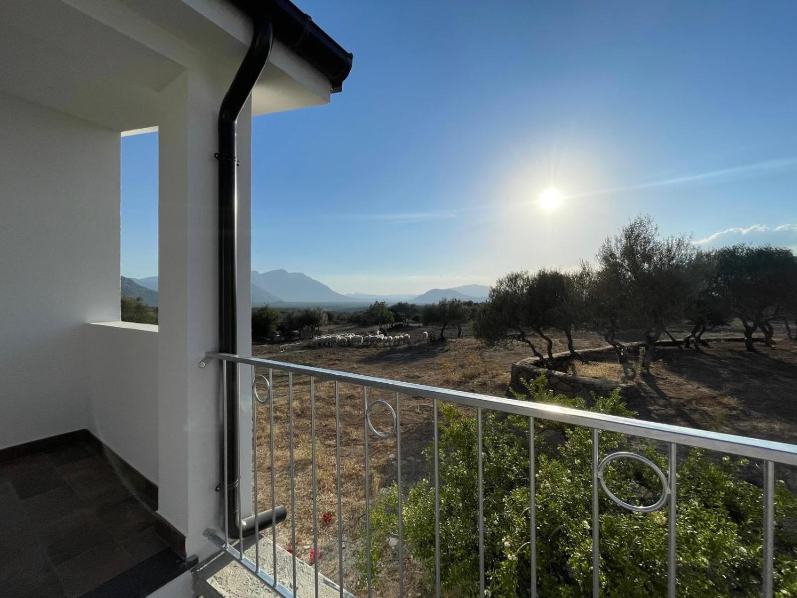 Agriturismo Sa Murta Dorgali Exteriér fotografie