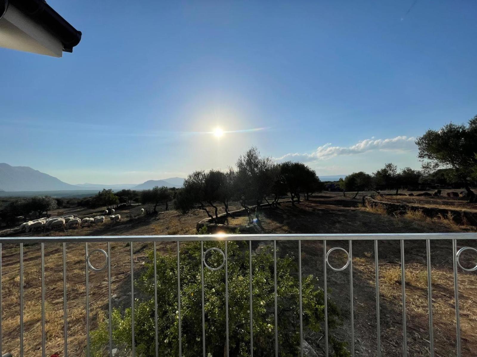 Agriturismo Sa Murta Dorgali Exteriér fotografie