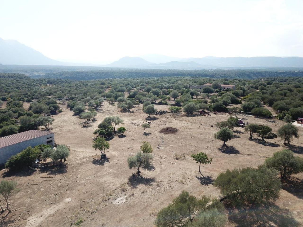 Agriturismo Sa Murta Dorgali Exteriér fotografie