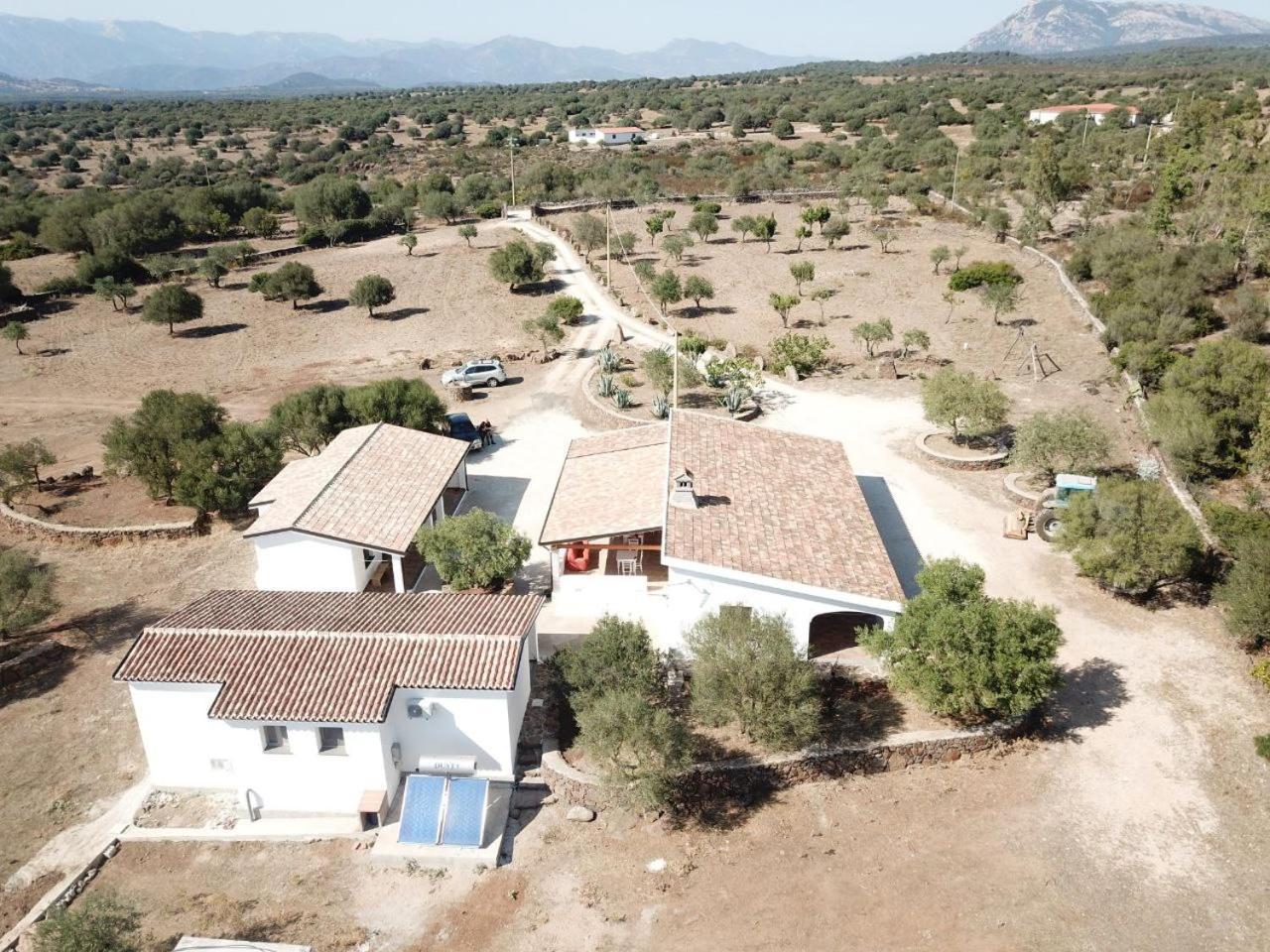 Agriturismo Sa Murta Dorgali Exteriér fotografie