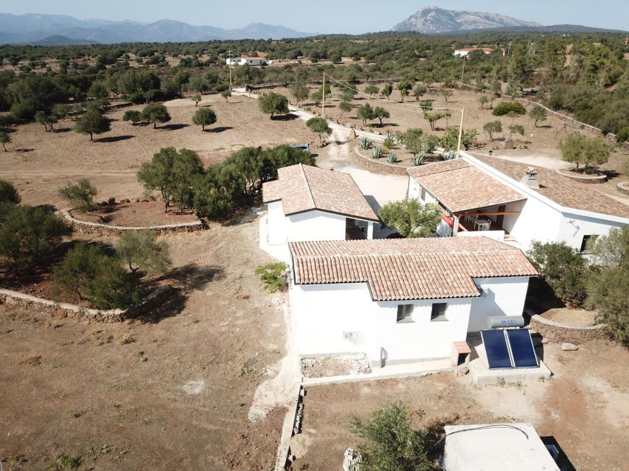 Agriturismo Sa Murta Dorgali Exteriér fotografie