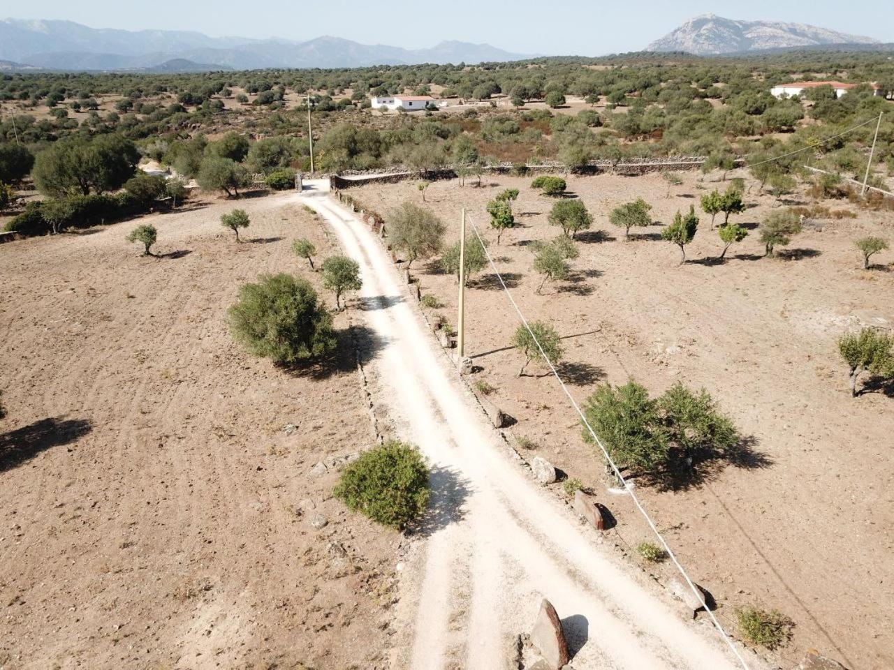 Agriturismo Sa Murta Dorgali Exteriér fotografie