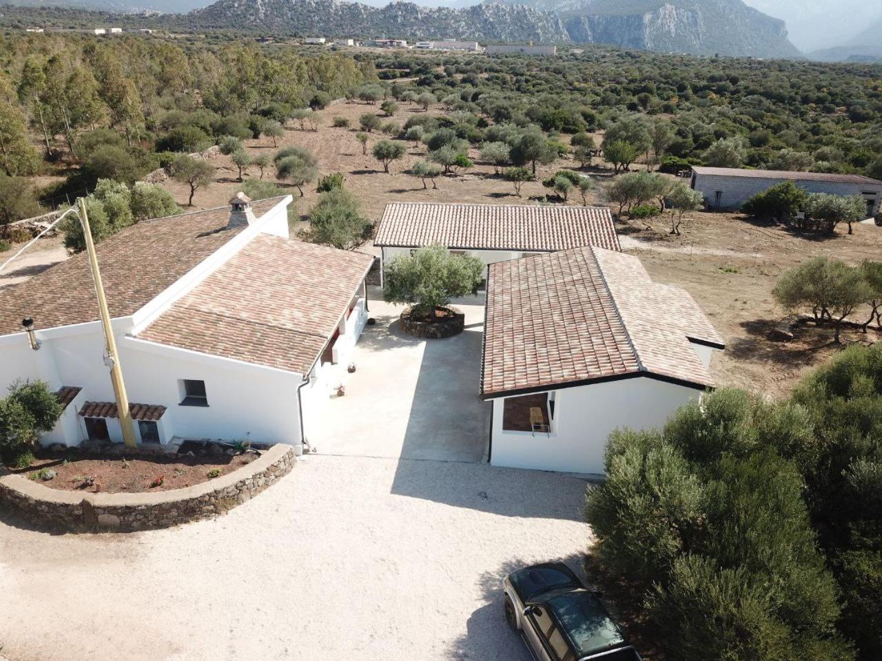 Agriturismo Sa Murta Dorgali Exteriér fotografie