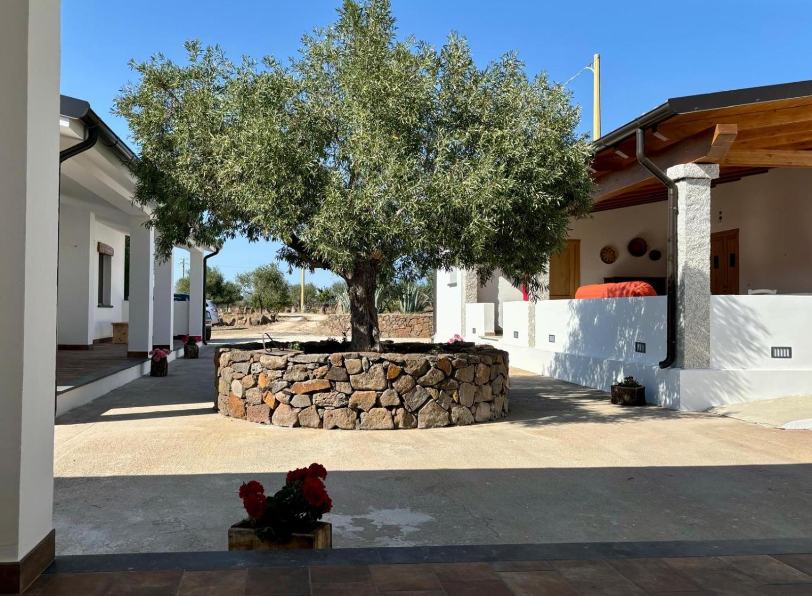 Agriturismo Sa Murta Dorgali Exteriér fotografie