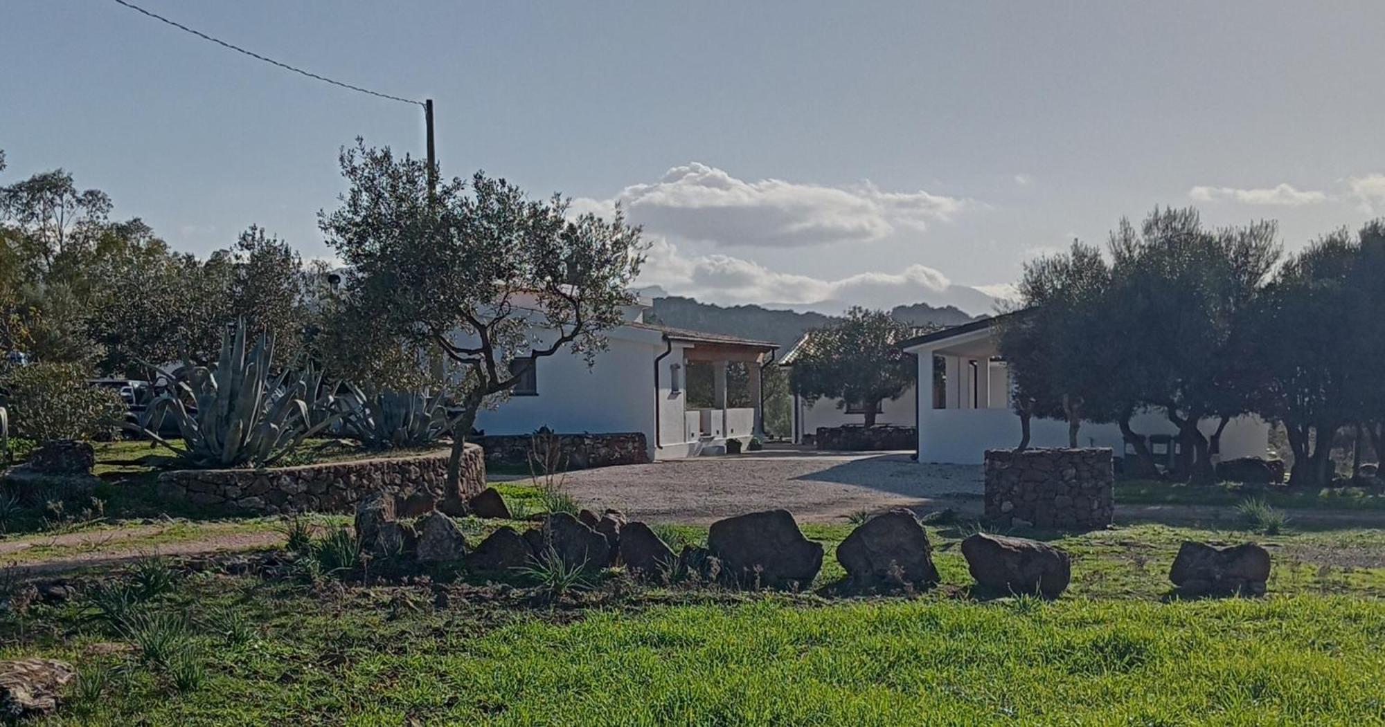 Agriturismo Sa Murta Dorgali Exteriér fotografie