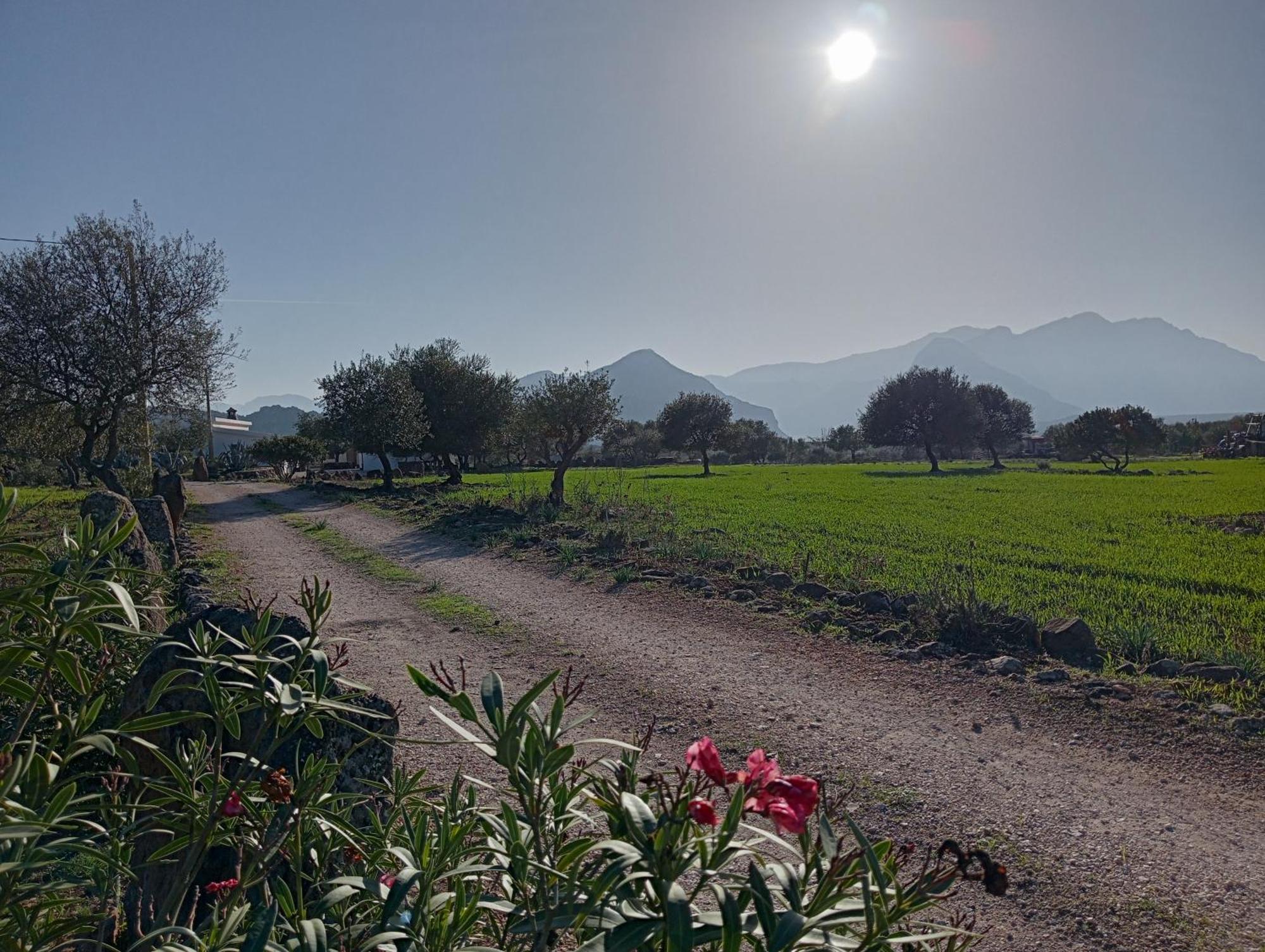 Agriturismo Sa Murta Dorgali Exteriér fotografie