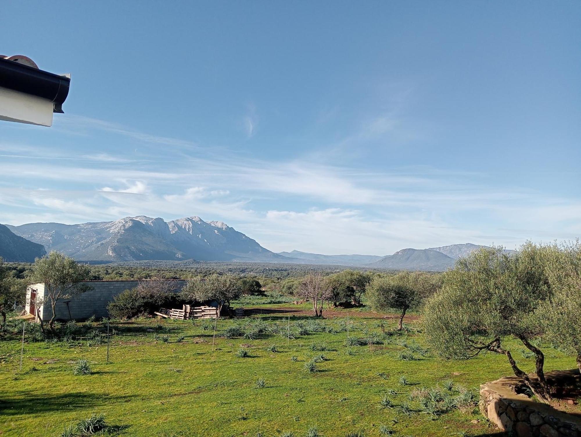 Agriturismo Sa Murta Dorgali Exteriér fotografie