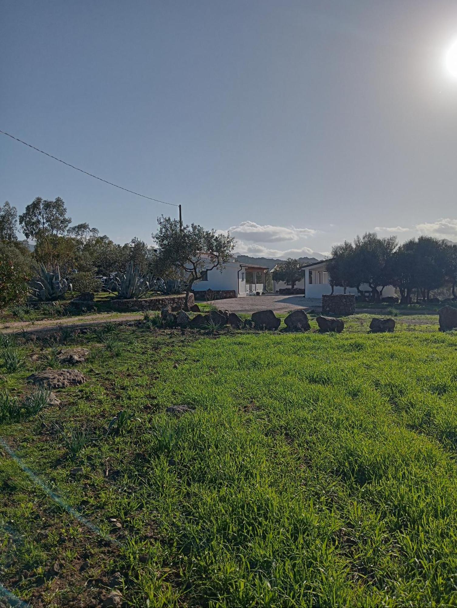 Agriturismo Sa Murta Dorgali Exteriér fotografie